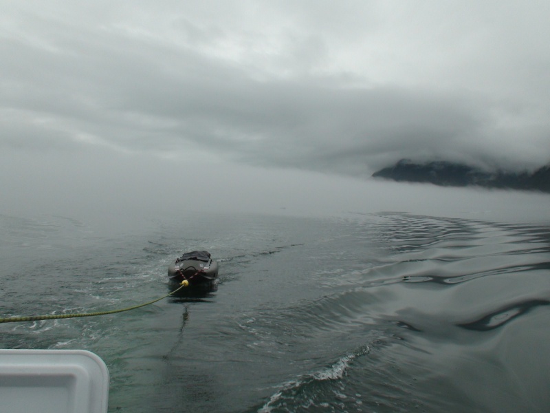 coming out of the fog