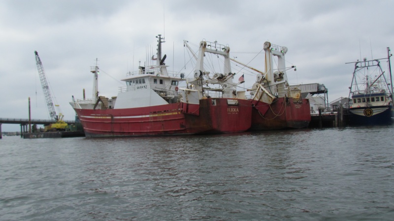 Commercial Boats