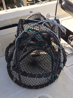 Commercial shrimp pots