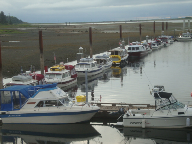 Comox  - Low tide Friday morning