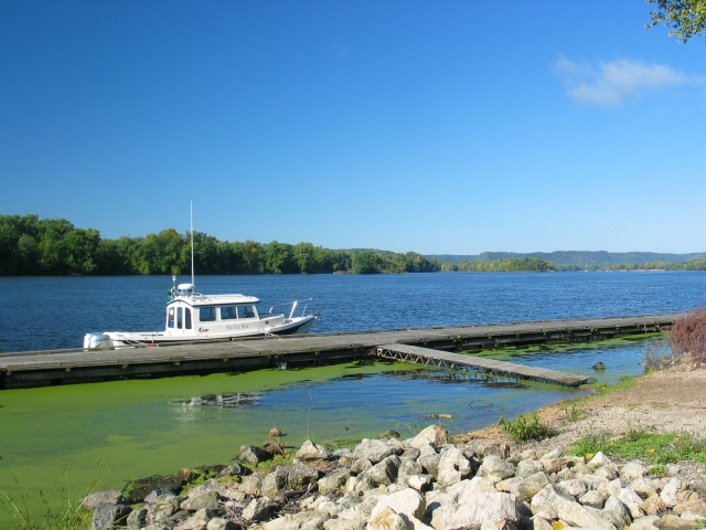 Courtesy dock at Fountain City, duckweed was prevalent this time of year.