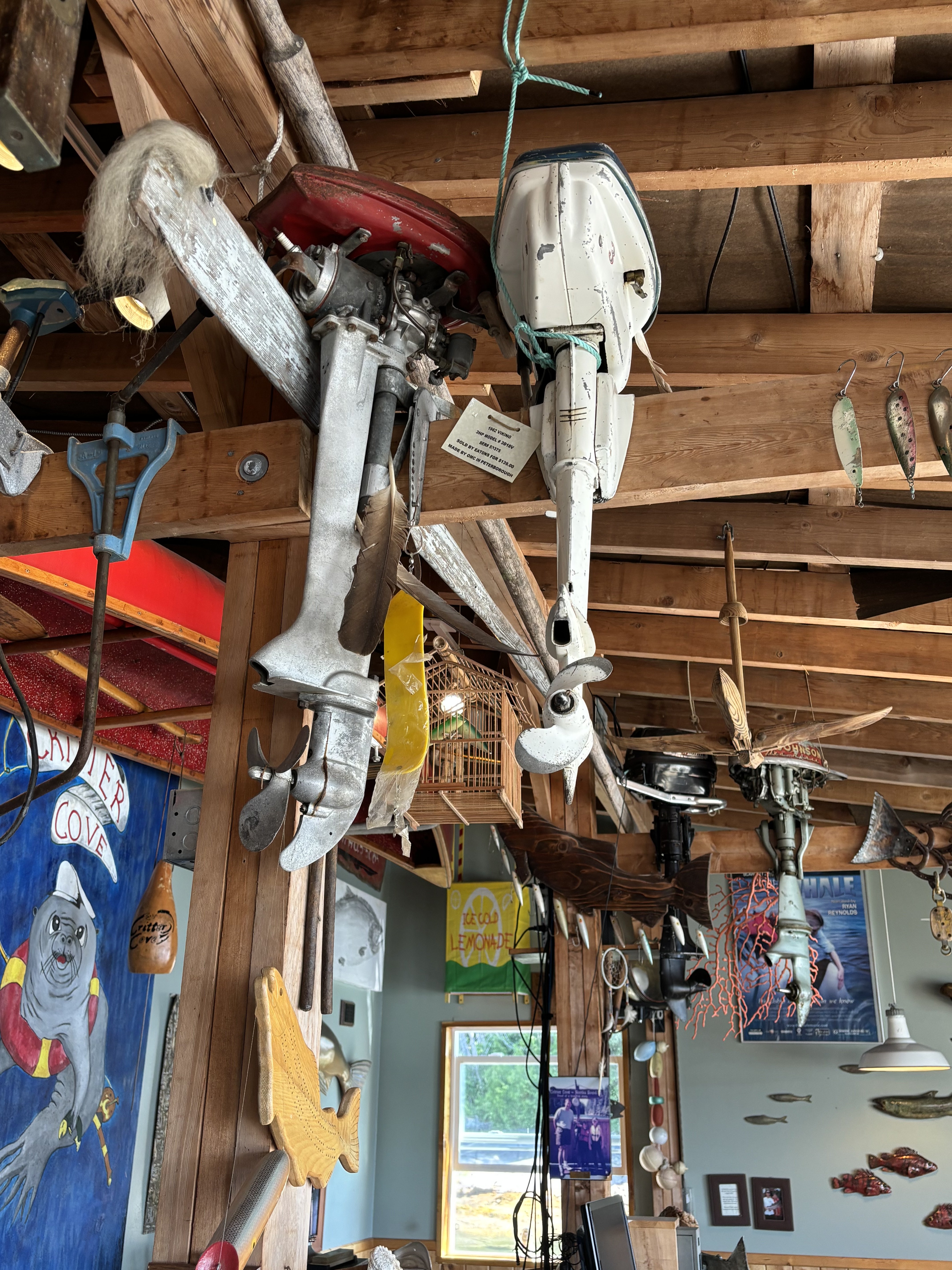 Critter Cove room decor