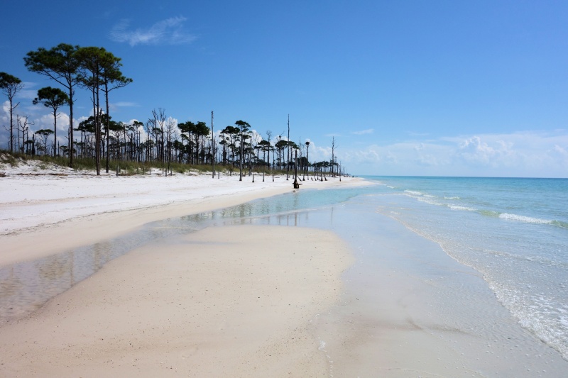 Crooked Island Fl2