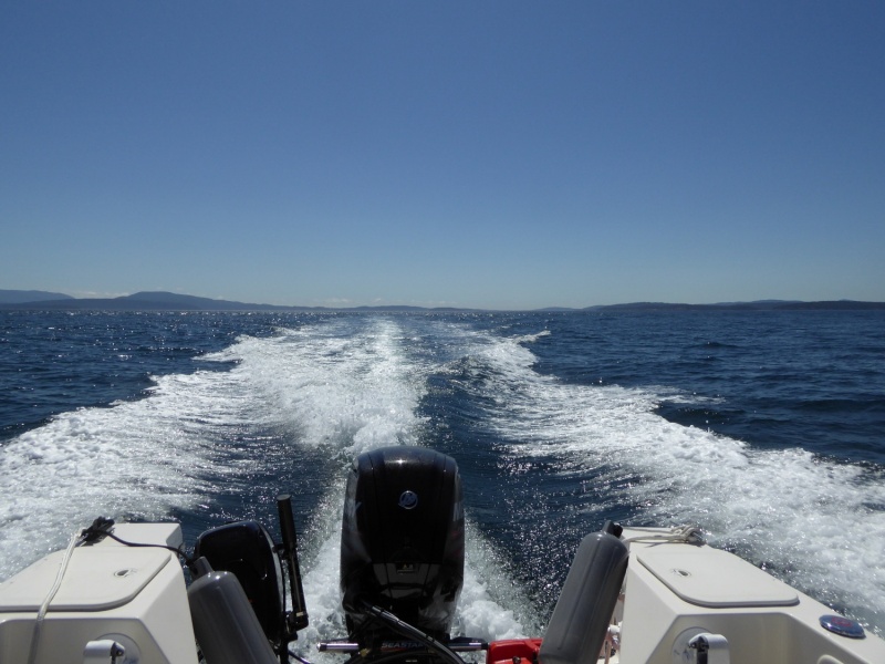Crossing the shipping lanes