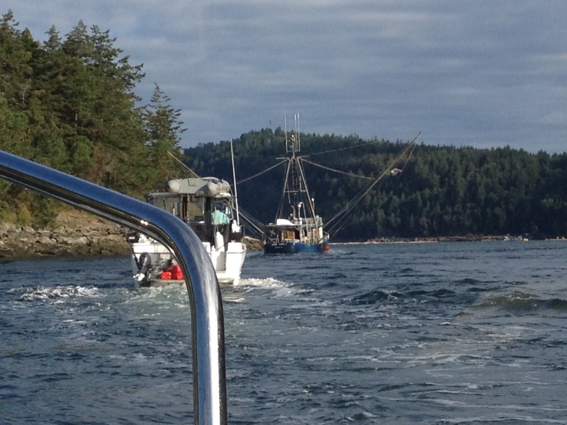 Crowd at Dodd Narrows
