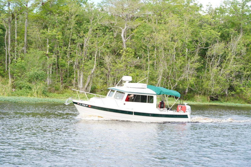 Cruiser