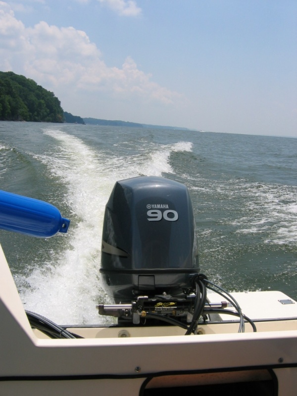 Cruising Kentucky Lake
