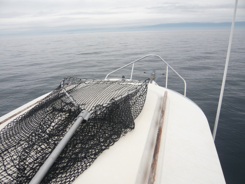 cruising on the lake of an ocean