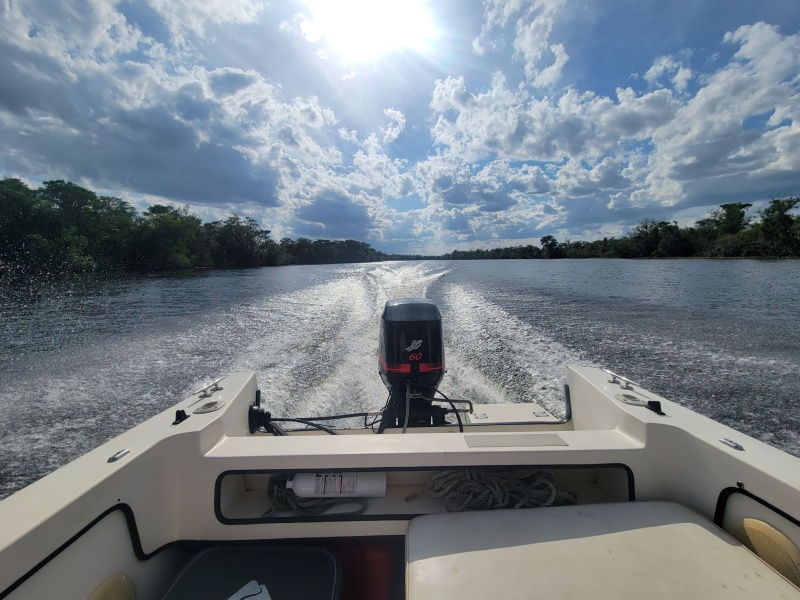 Cruising Rear View