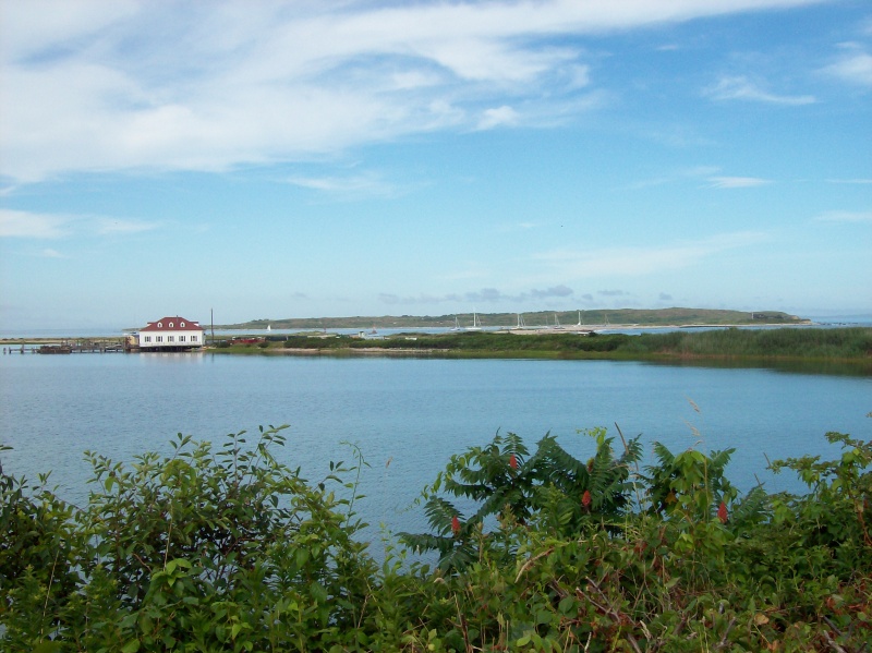Cuttyhunk Island July 2010