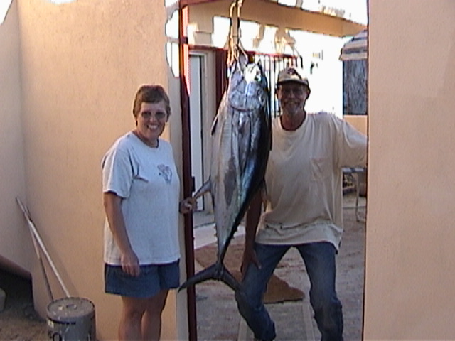 (Cygnet) 100 lb. + Yellow Fin Tuna, Cabo San Lucas Mexico