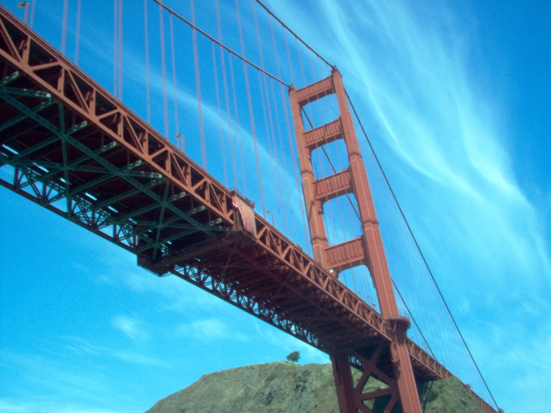 (Cygnet) What a view of the Golden Gate Bridge!