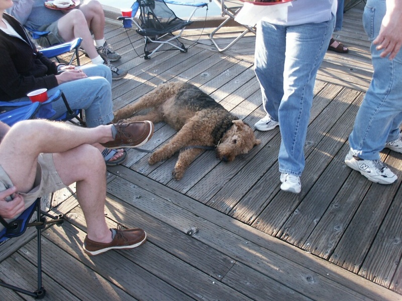 (Da Nag) Winston "guarding" the dock