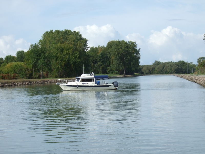 Dave and Ginny's Will-C.