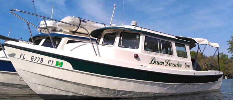 Dawn Treader in Silver Glenn 2019