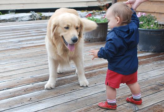 Dawson loves Jonah