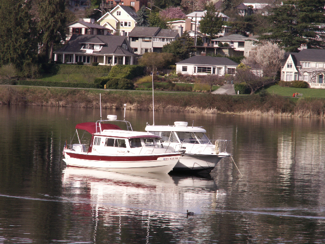 Daydream and Trophy Rafted 4-5-09
