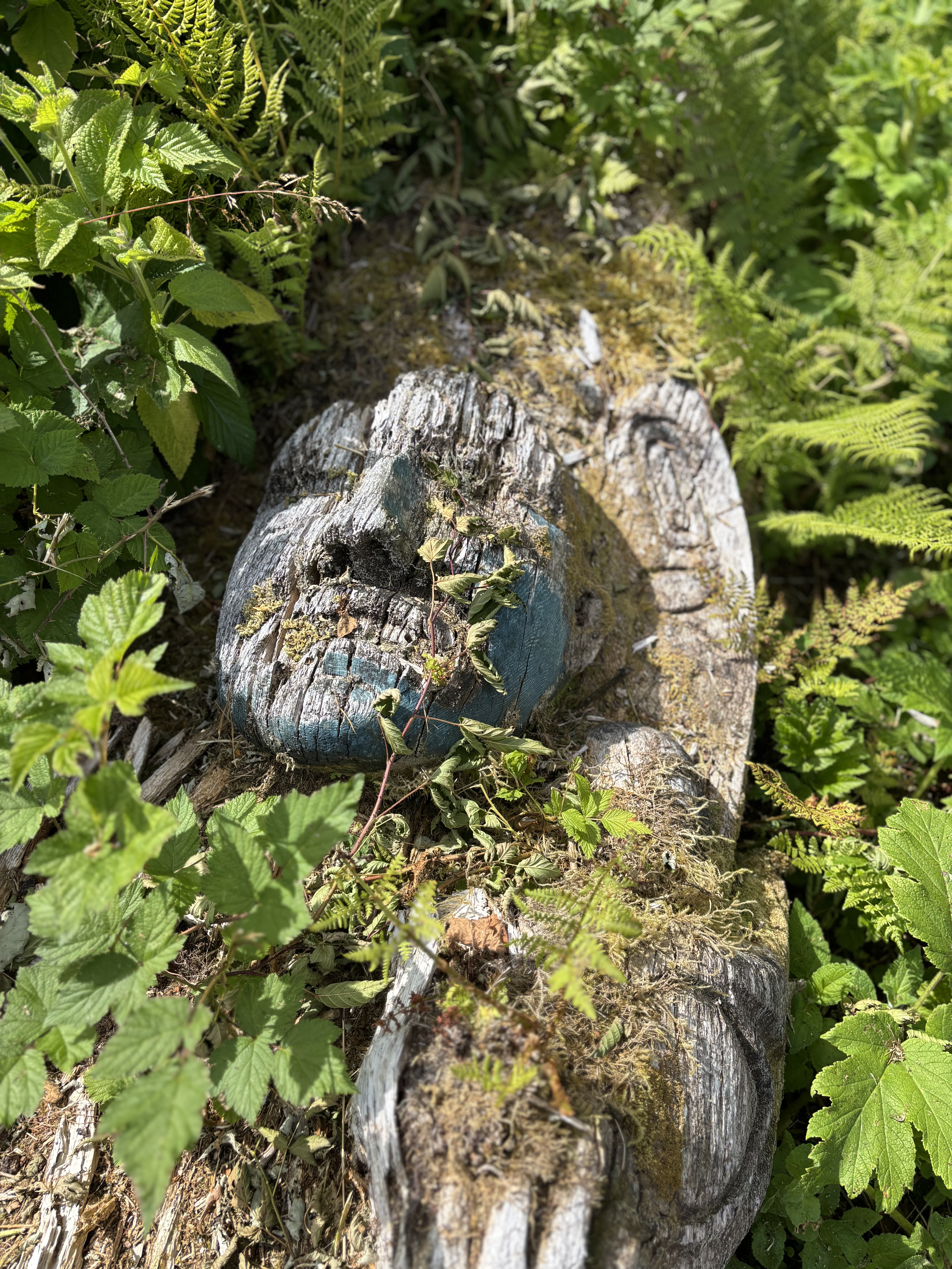 Decaying totem at Friendly Cove
