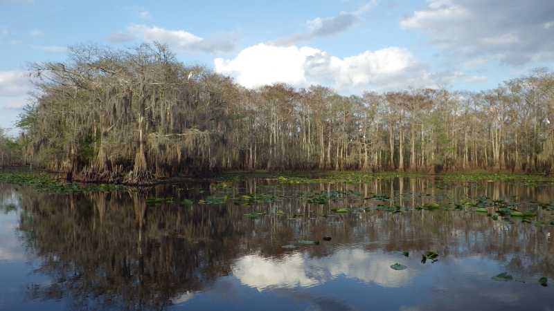 Deep Creek, near Lake Harney