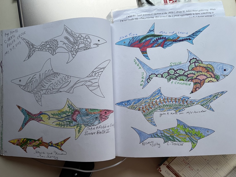 Delta Cruise Coloring Book Page
