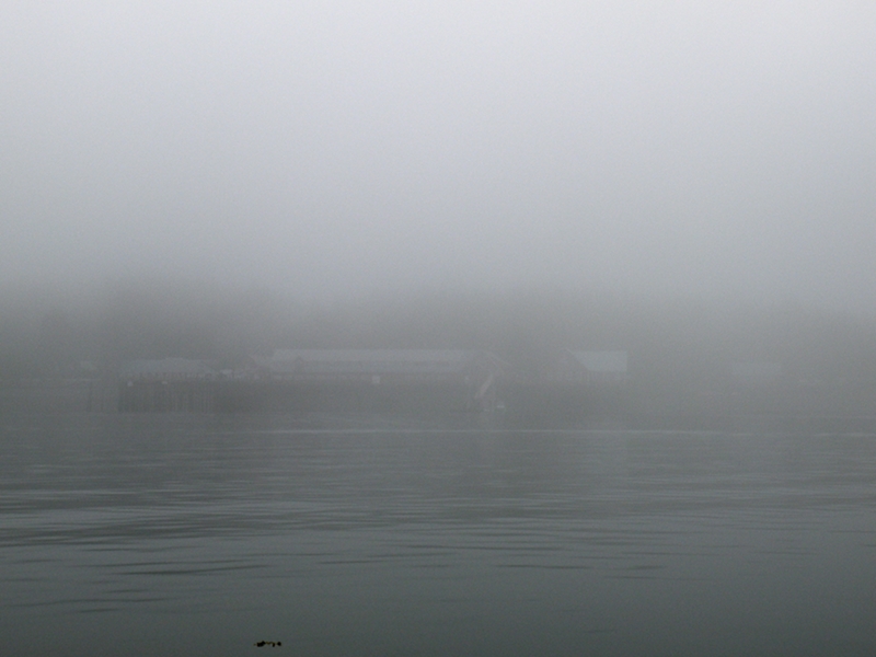 Departed early morning with dense fog.  Hugged shore for references