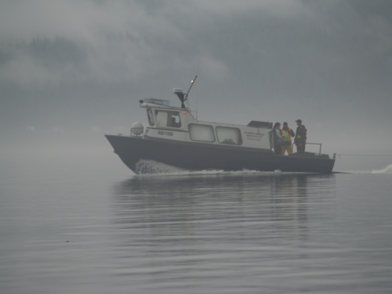 DFO in the fog