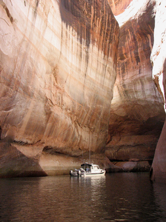 Discovery in the Cathedral In The Desert