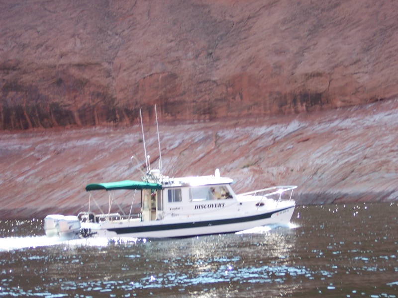 Discovery in the Escalante River Arm