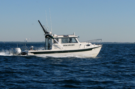 Discovery in the Gulf