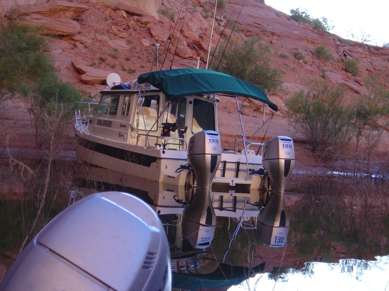 Discovery--with reflection