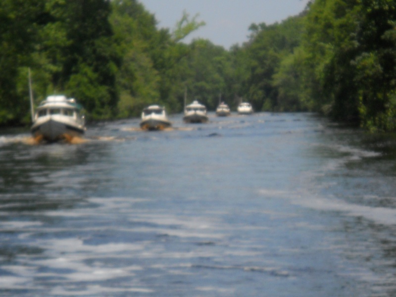 Dismal Swamp Canal