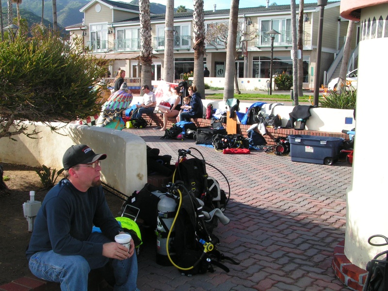 Divers waiting for the start of the bay cleanup