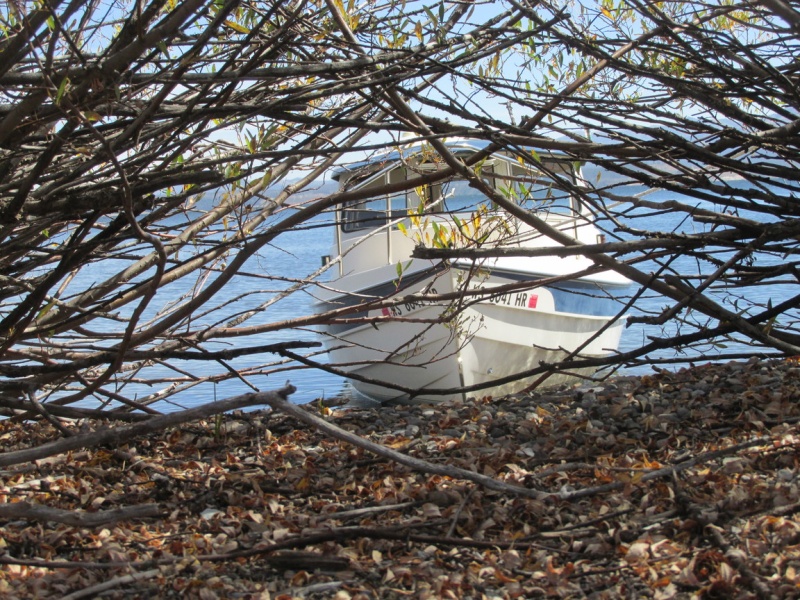 Do you see the Dory?
