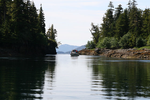 DogOnDory Arriving