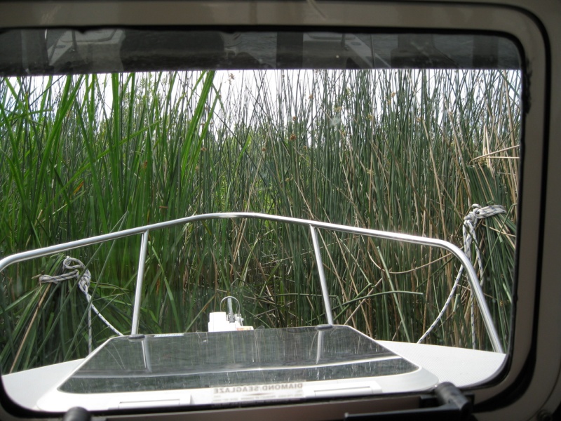 Doing the Tule tie. the bow is in 2ft of water and the stern in 8ft. The wind passes over the top.