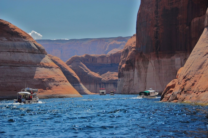 Dories on the move.