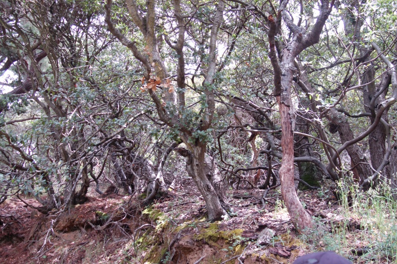 DSC 0337