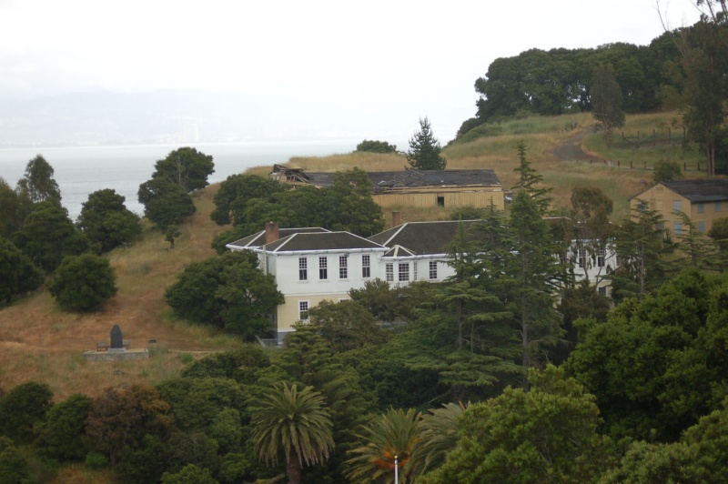 DSC 0356
