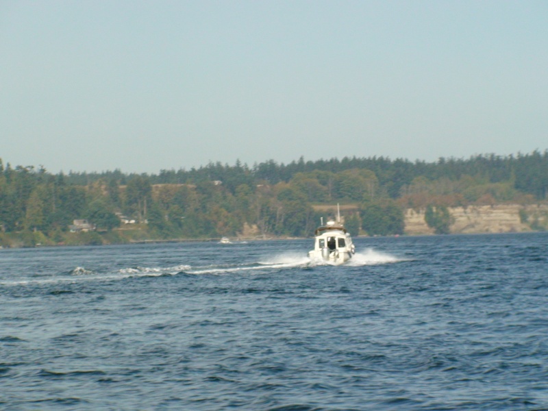 DSC00003
