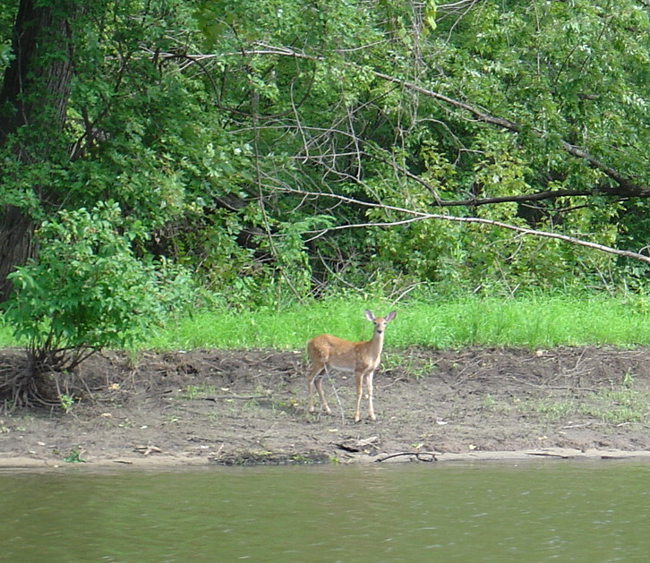 DSC06155a