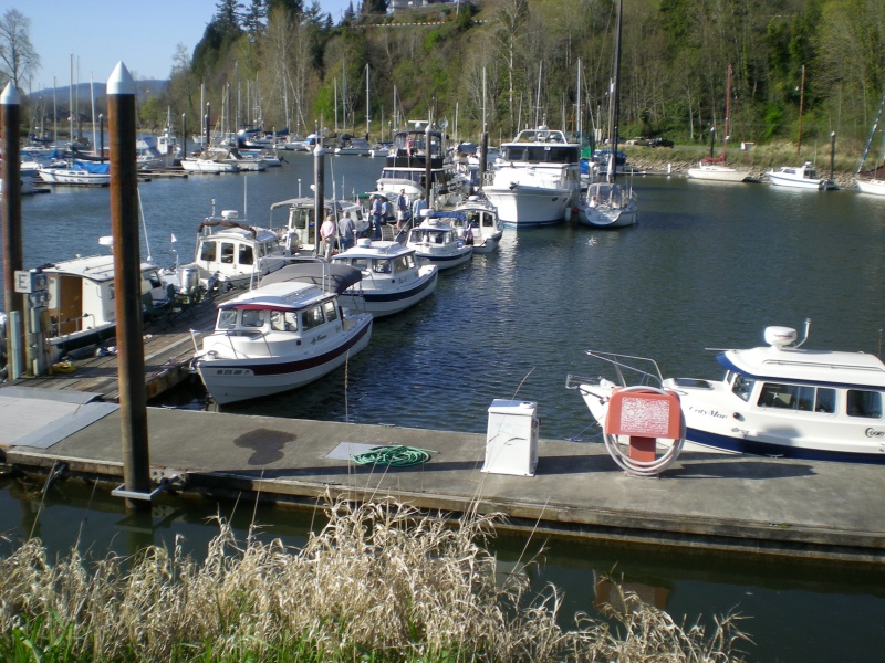 DSCN0267