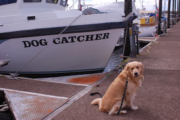 Dumb name for a boat
