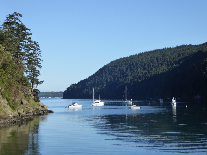 Eagle Harbor Saturday evening