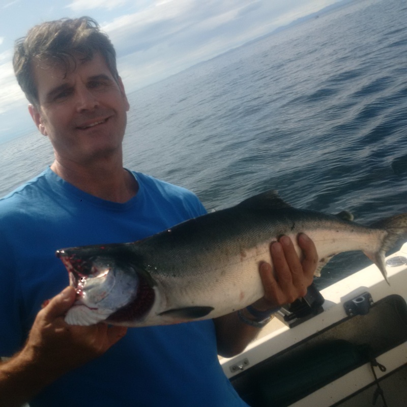 Eagle Pt Pink caught 8/30/17 at afternoon tide change.  landed 1 other pink retained by partner Dave Bedner.  Also lost several, mostly pinks.  Lost a big king, jumped clean out of the later and broke 40 lb leader.