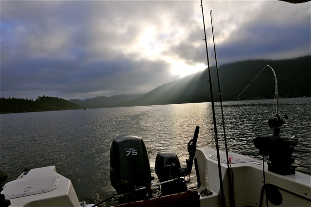 Early dawn, limit up.