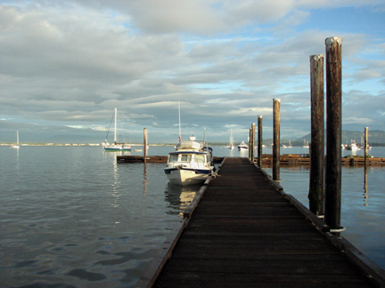 Early sun on Sidney Spit