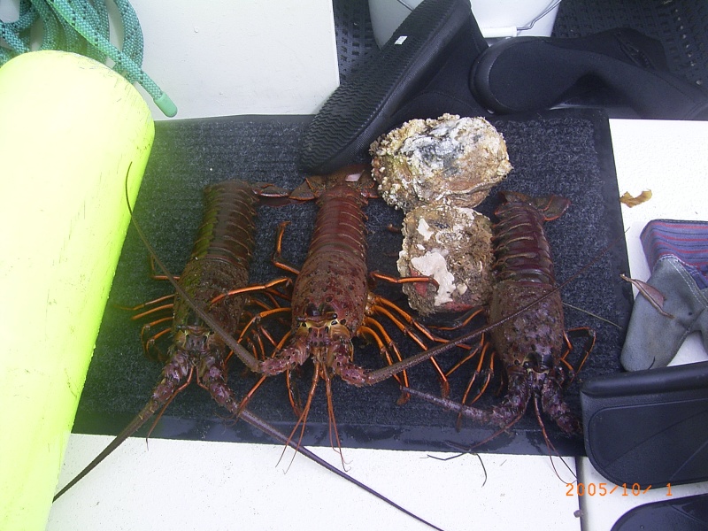 Eatin\' good in the neighbourhood