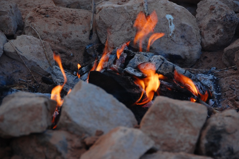 El, where are the marshmallows?