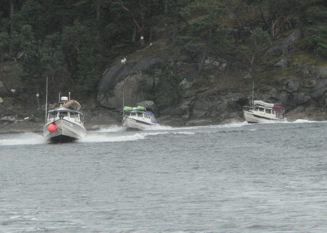 ENDURANCE, C-CHANGE and ROCK-C (l-r) speed   through Dodd Narrows