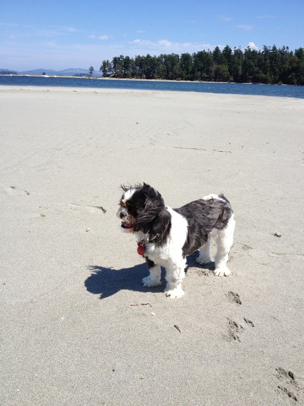 Enjoying at day at the beach